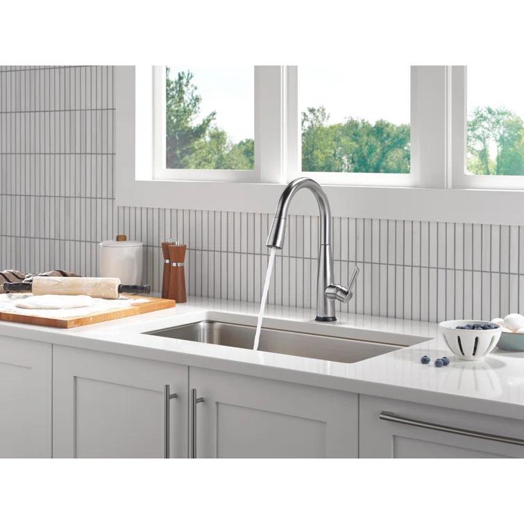 Essa Touch2O Kitchen Sink Faucet with Touchless Technology