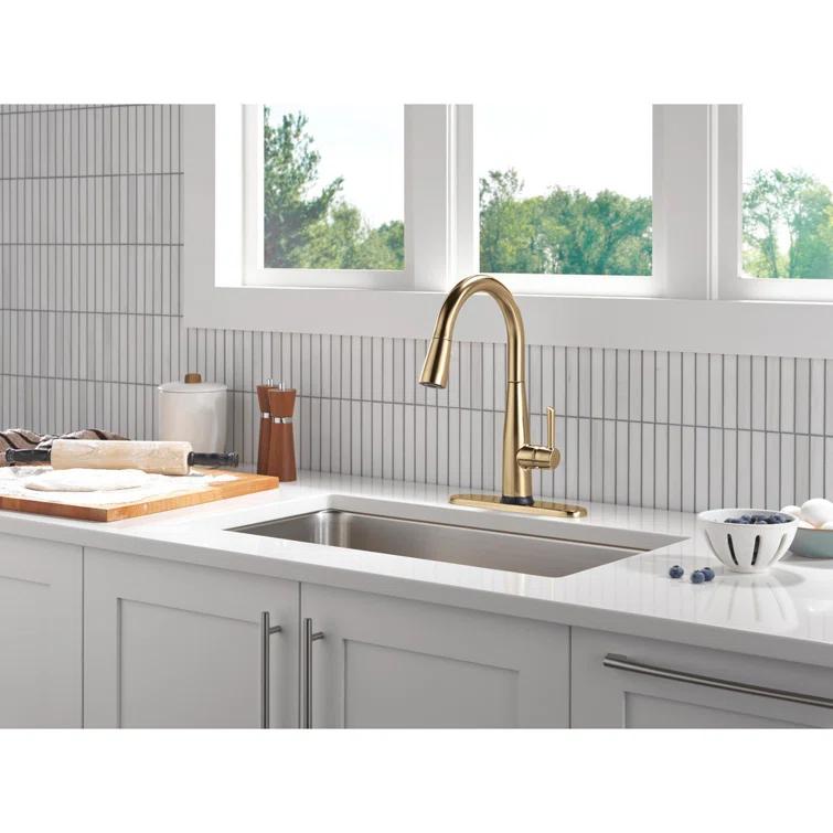 Essa Touch2O Kitchen Sink Faucet with Touchless Technology