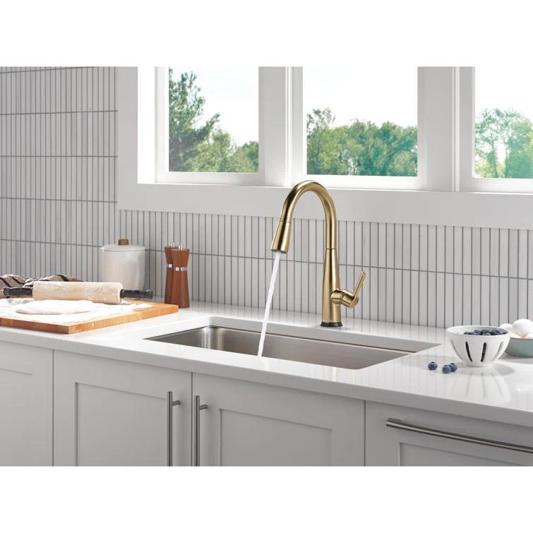 Essa Touch2O Kitchen Sink Faucet with Touchless Technology
