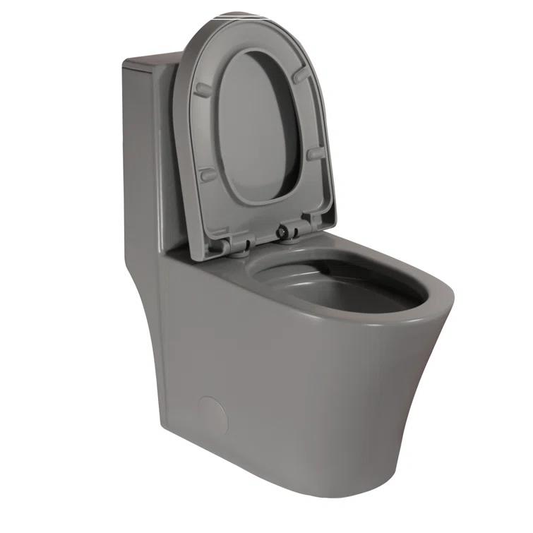 REDmintss Elongated One Piece Toilet AGLBX06498A