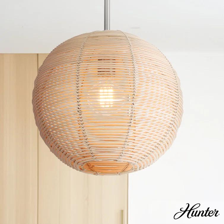 Hunter Berkeley 1 Light Medium Pendant Ceiling Light Fixture