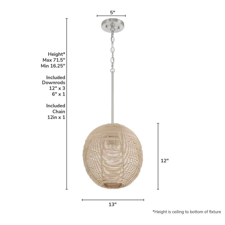 Hunter Berkeley 1 Light Medium Pendant Ceiling Light Fixture