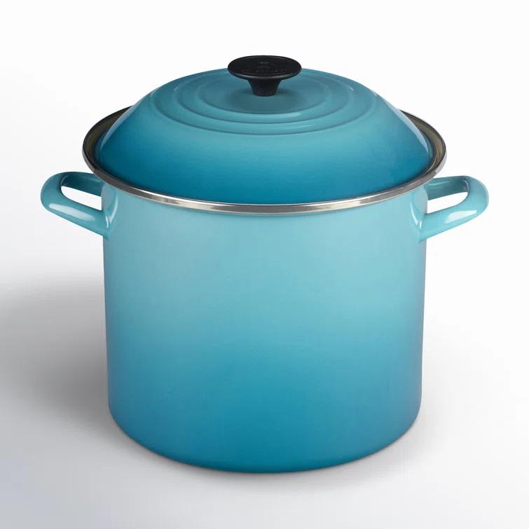 Le Creuset Enamel on Steel Stockpot with Lid