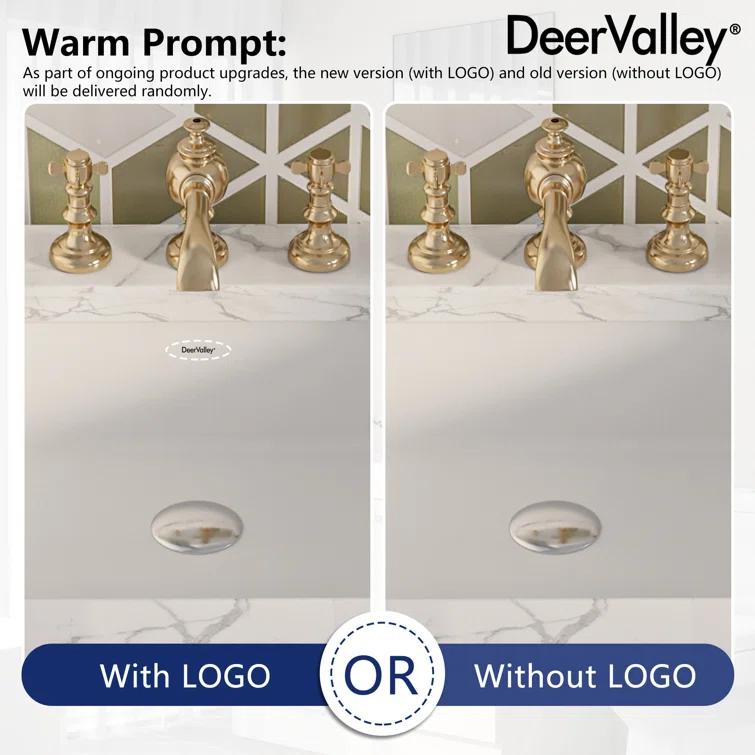 DeerValley Ursa 20" X 15.6" Rectangular Vitreous China Undermount Bathroom Sink with Overflow