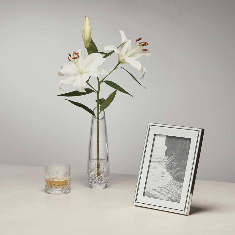 Waterford Classic Frame Silver & Reviews | Wayfair
