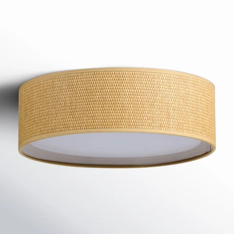 Jessalyn 3 Light Acrylic LED Flush Mount