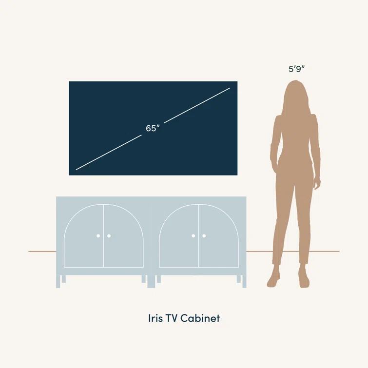 Iris Solid Wood TV Stand 2 - Door Accent Cabinet (2-Piece Set)