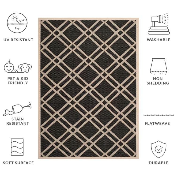 Sanzone Performance Geometric Rug