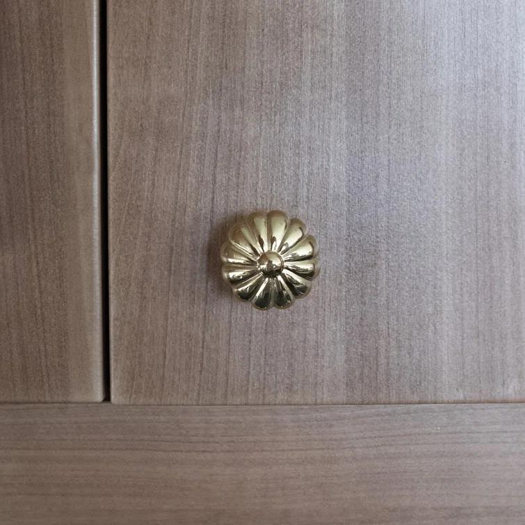 Rk International Flower Knob CK Series & Reviews | Wayfair