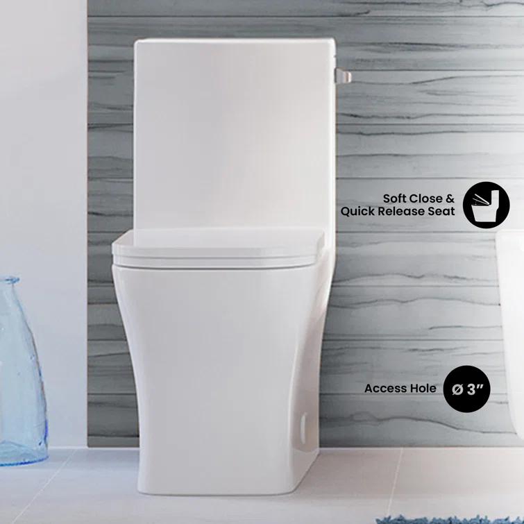 Concorde One-Piece Square Toilet Dual-Flush 1.1/1.6 gpf