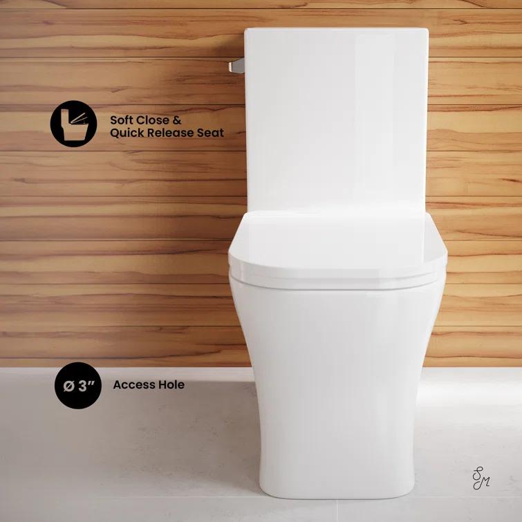 Concorde One-Piece Square Toilet Dual-Flush 1.1/1.6 gpf