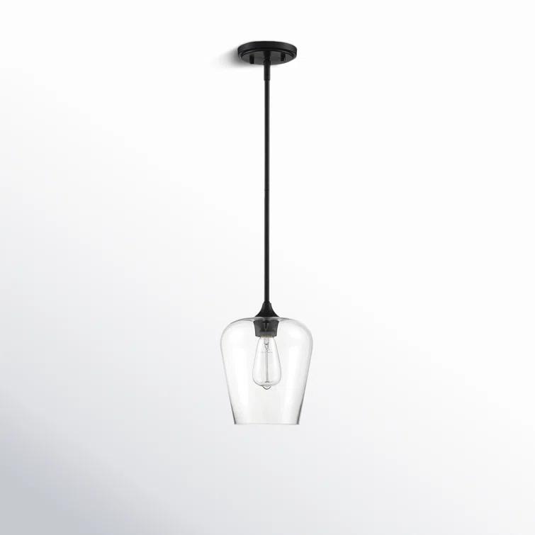 Breena Single Light Glass Steel Dimmable Pendant