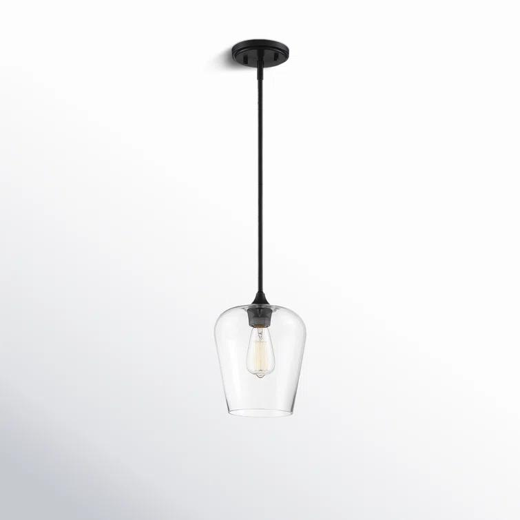 Breena Single Light Glass Steel Dimmable Pendant
