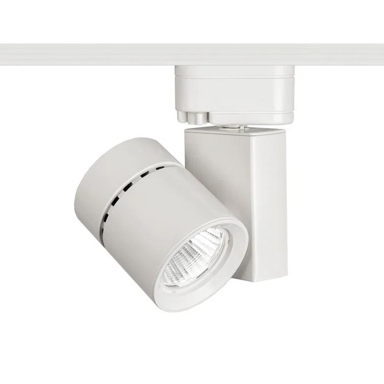 Exterminator II LED Adjustable Track Head