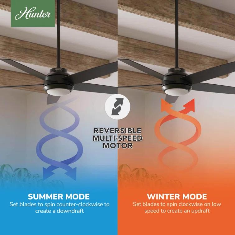 52" Zayden 5 - Blade Ceiling Fan With Lights and Remote