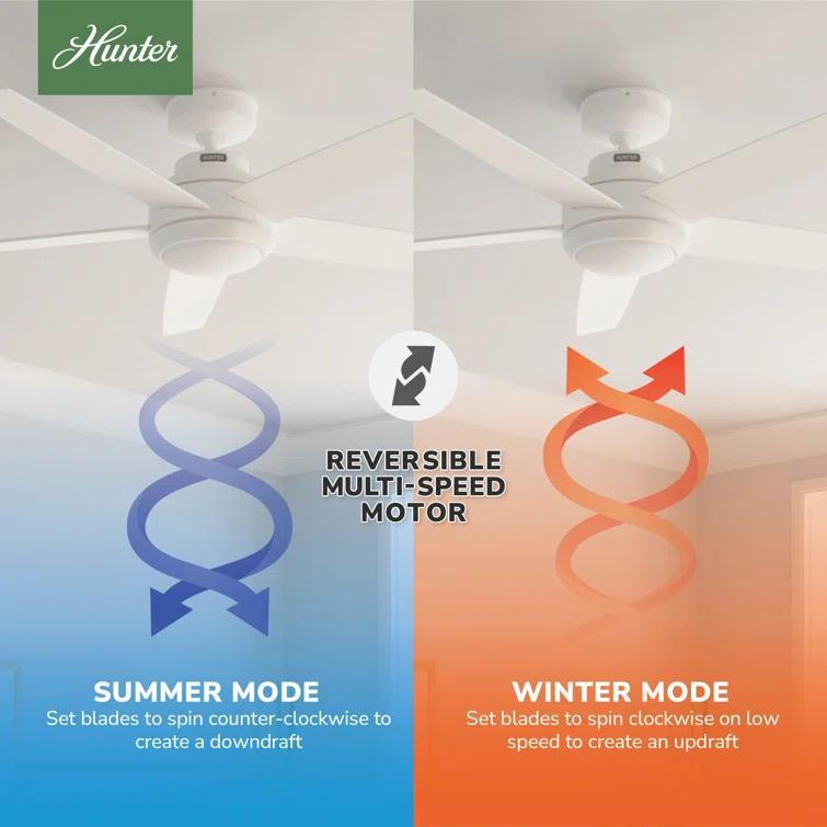 52" Zayden 5 - Blade Ceiling Fan With Lights and Remote