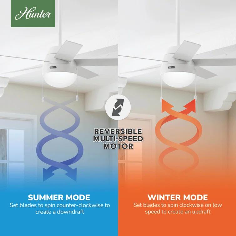 46" Anslee Standard Ceiling Fan with Pull Chain and Light Kit Included
