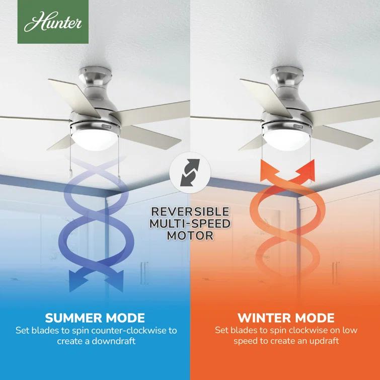 44" Aren 5 - Blade Flush Mount Ceiling Fan with Pull Chain and Light Kit Included