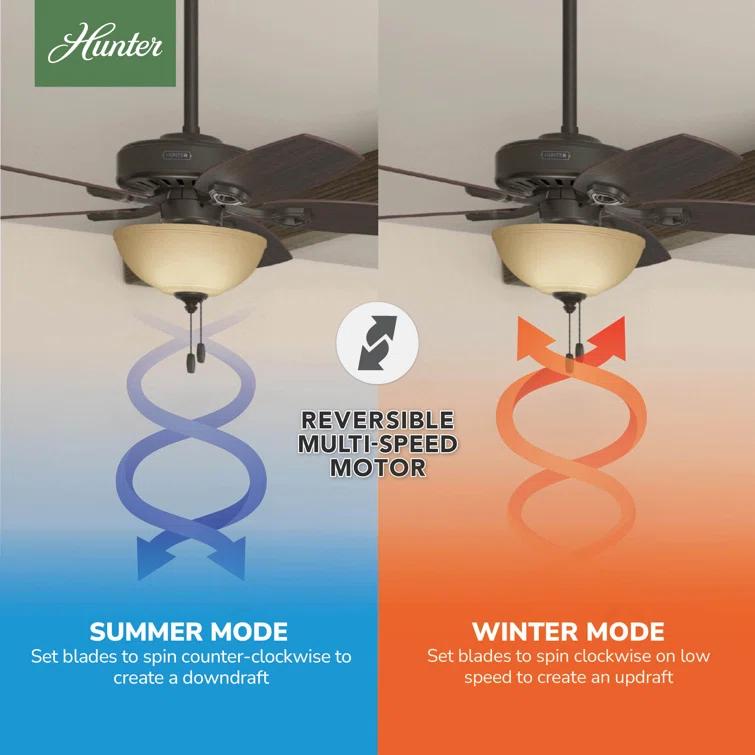52" Builder Deluxe 5 - Blade Standard Ceiling Fan with Pull Chain and Light Kit Included