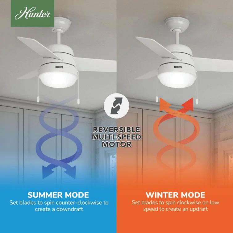 Aker 36" 3 - Blade Standard Ceiling Fan with Lights and Pull Chains