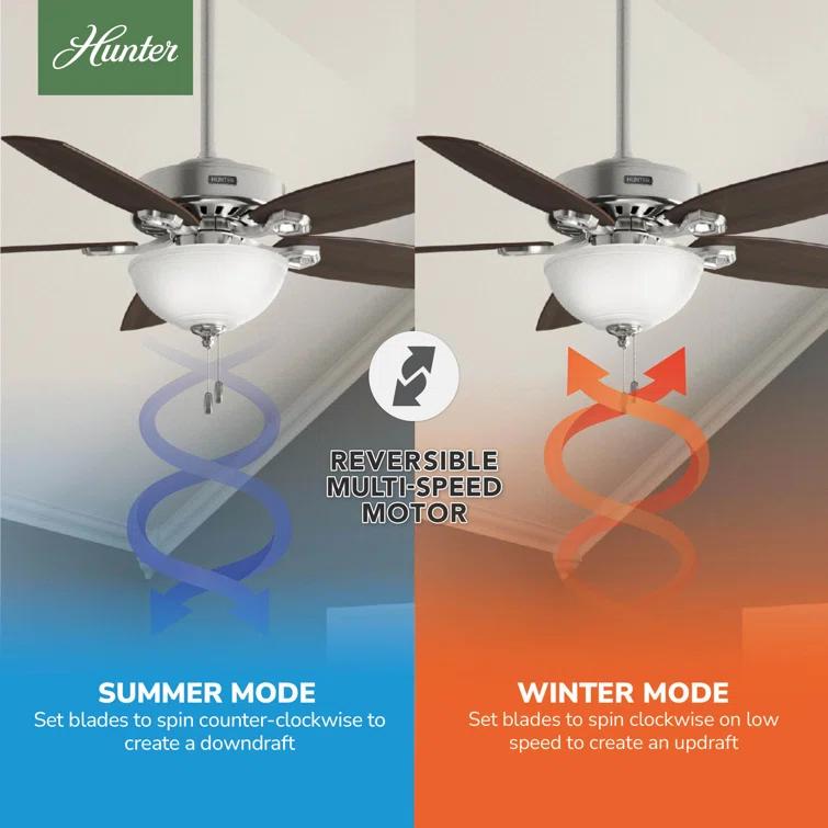 52" Builder Deluxe 5 - Blade Standard Ceiling Fan with Pull Chain and Light Kit Included