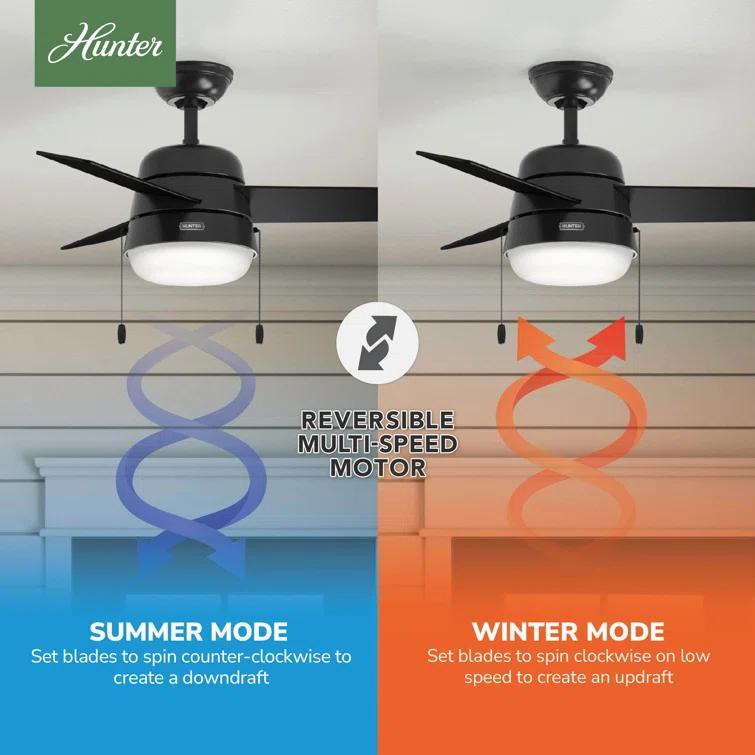 Aker 36" 3 - Blade Standard Ceiling Fan with Lights and Pull Chains