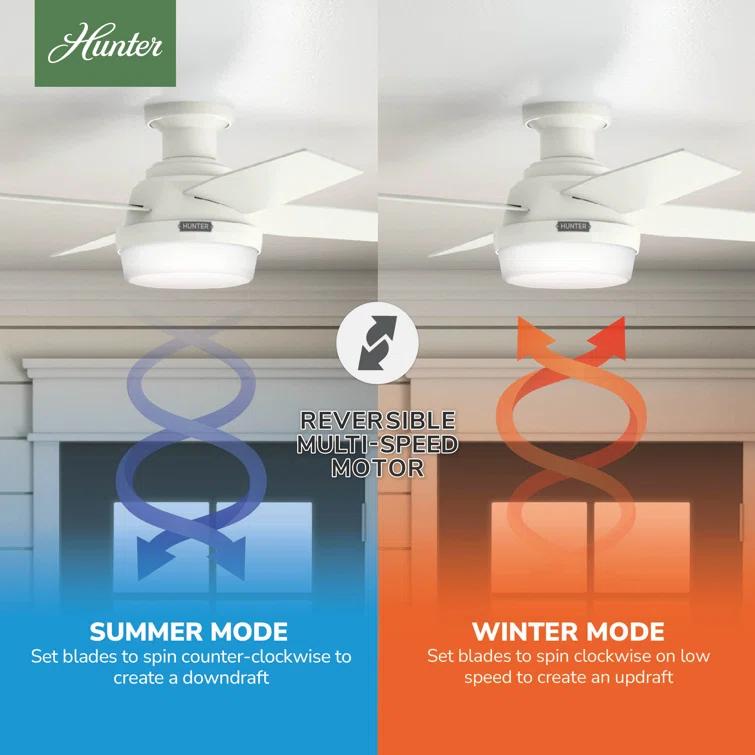 Dempsey Low Profile 44" 4 - Blade Indoor Flush Mount Small Room Ceiling Fan with Lights and Remote