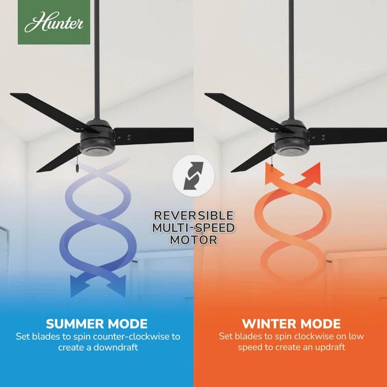 52" Cassius 3 - Blade Outdoor Standard Ceiling Fan with Pull Chain