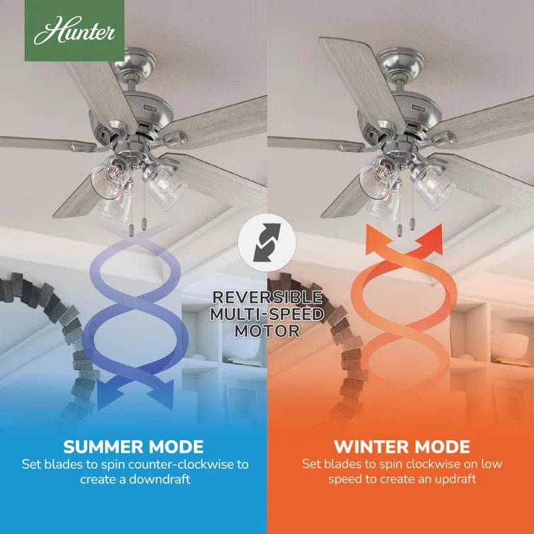 52" Rosner 5 - Blade Ceiling Fan With Lights and Pull Chains