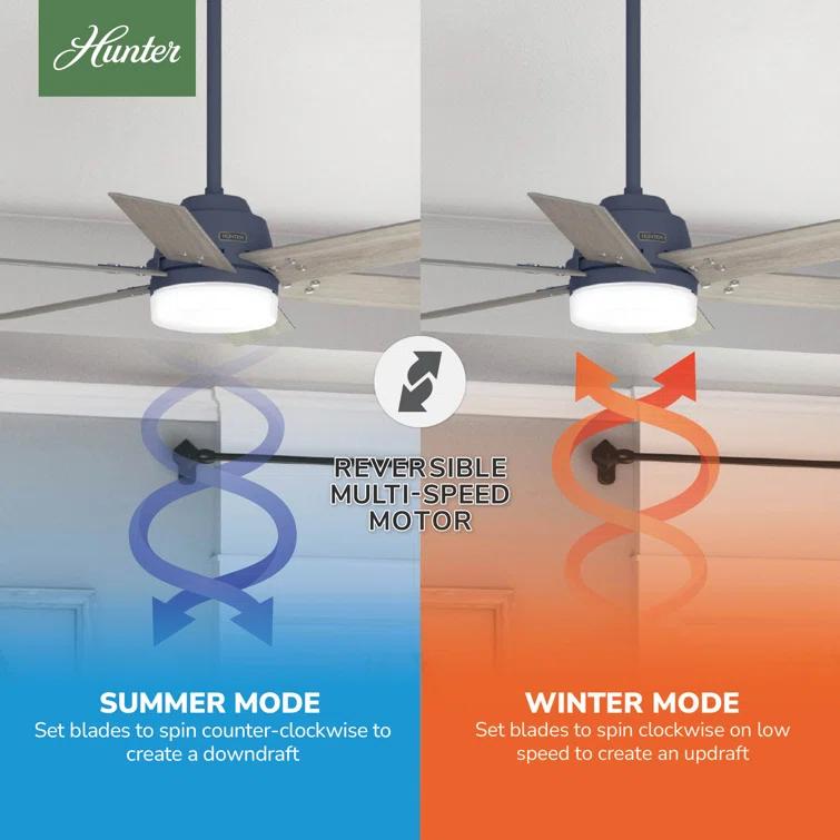 Hunter Fan 44" Pacer 6 - Blade Ceiling Fan with Lights and Remote