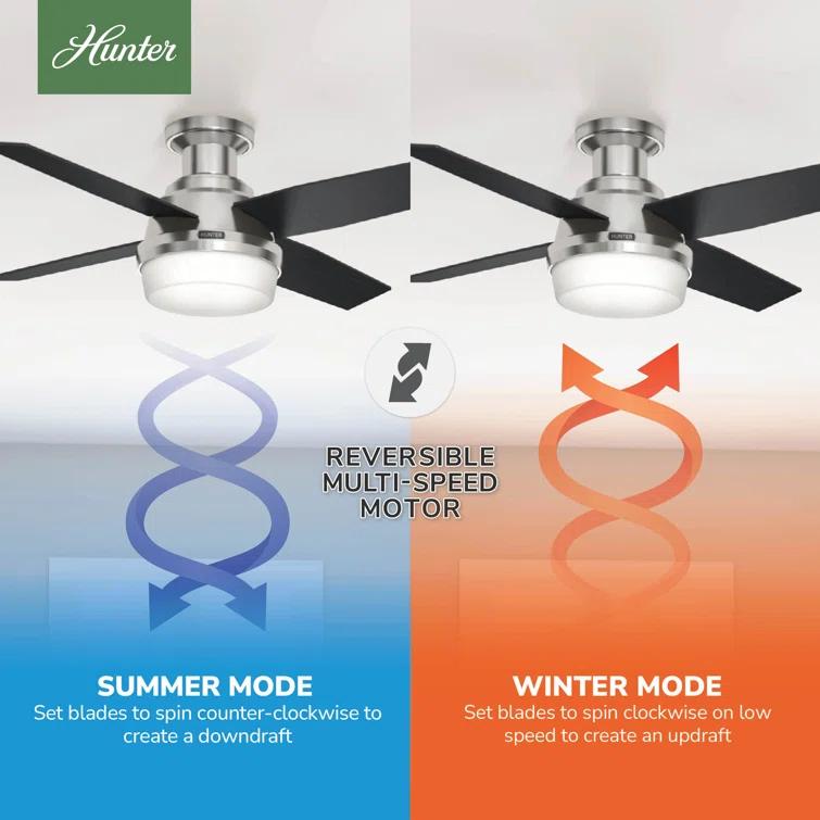 Dempsey Low Profile 44" 4 - Blade Indoor Flush Mount Small Room Ceiling Fan with Lights and Remote