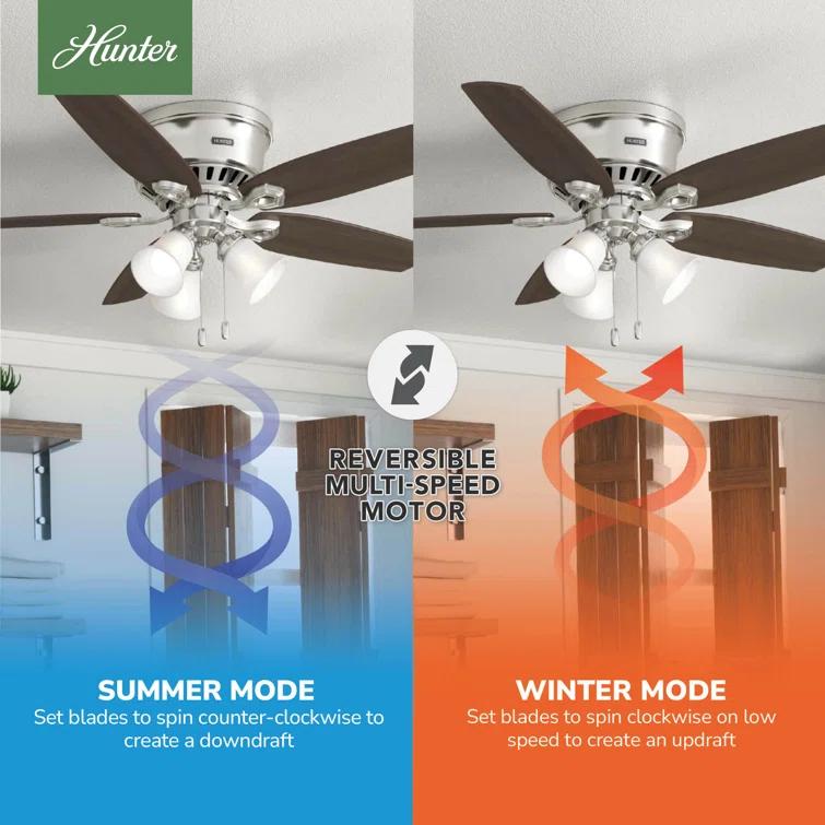 Builder Low Profile 52" 5 - Blade Flush Mount Ceiling Fan with Lights and Pull Chains