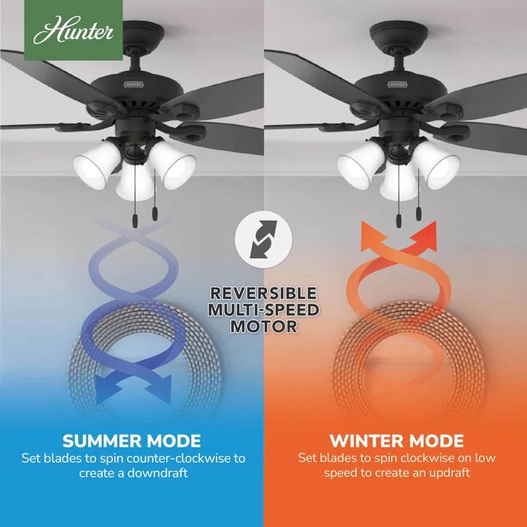 Builder Plus 52"5 - Blade Standard Ceiling Fan with Pull Chain and Light Kit Included