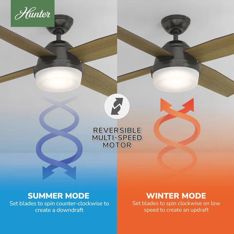 Dempsey 52" 4 - Blade Contemporary Indoor Ceiling Fan with Lights and Remote