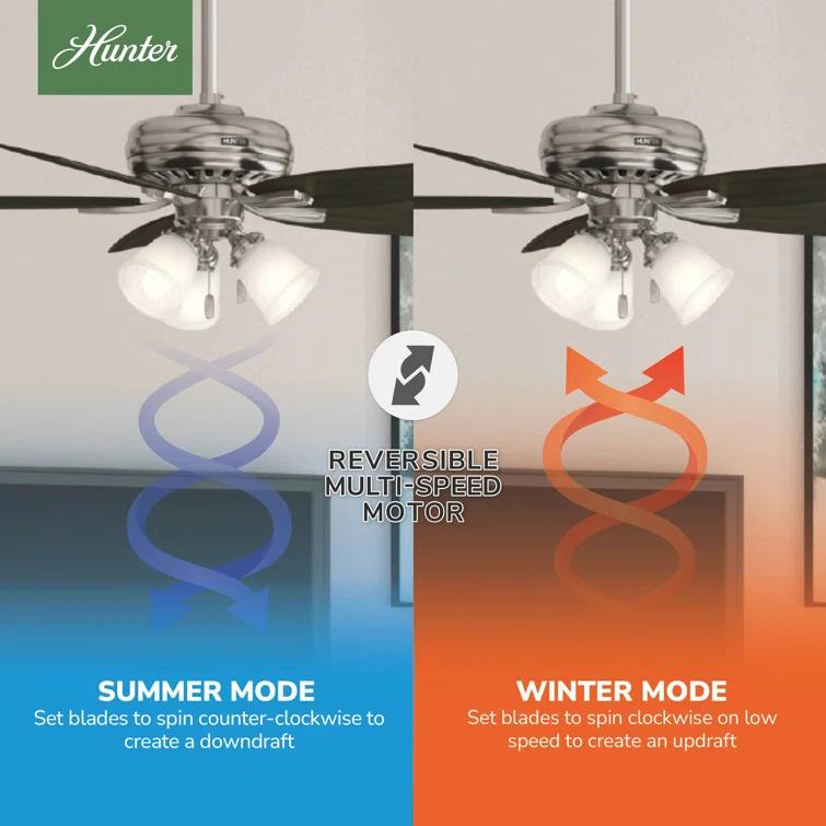 52" Newsome 5 - Blade Standard Ceiling Fan with Pull Chain and Light Kit Included