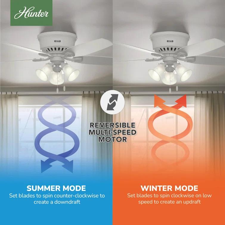 Builder Low Profile 52" 5 - Blade Flush Mount Ceiling Fan with Lights and Pull Chains
