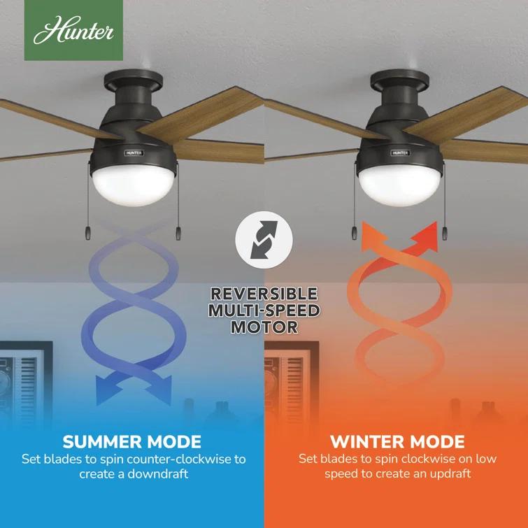 46" Anslee 5 - Blade LED Flush Mount Ceiling Fan with Pull Chain and Light Kit Included