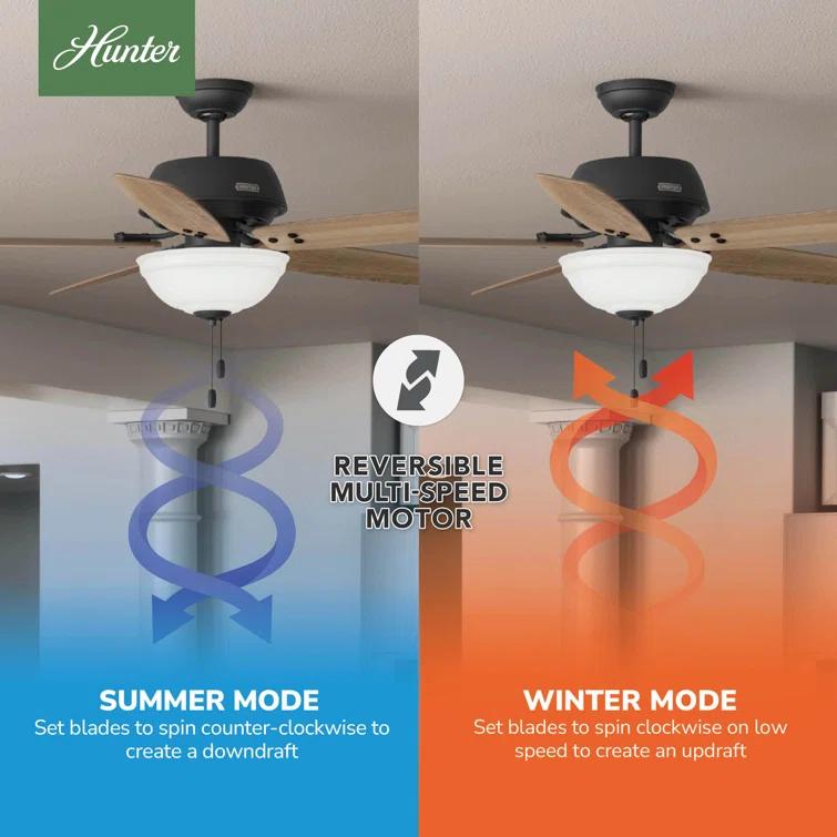 Hunter Fan Reveille 60" 5 - Blade Ceiling Fan With Lights And Pull Chain