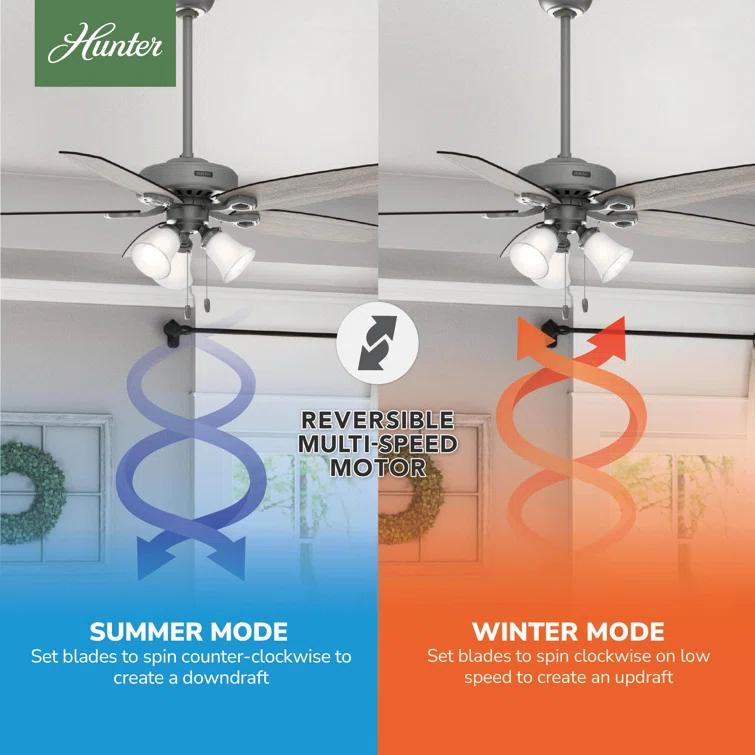 Builder Plus 52"5 - Blade Standard Ceiling Fan with Pull Chain and Light Kit Included
