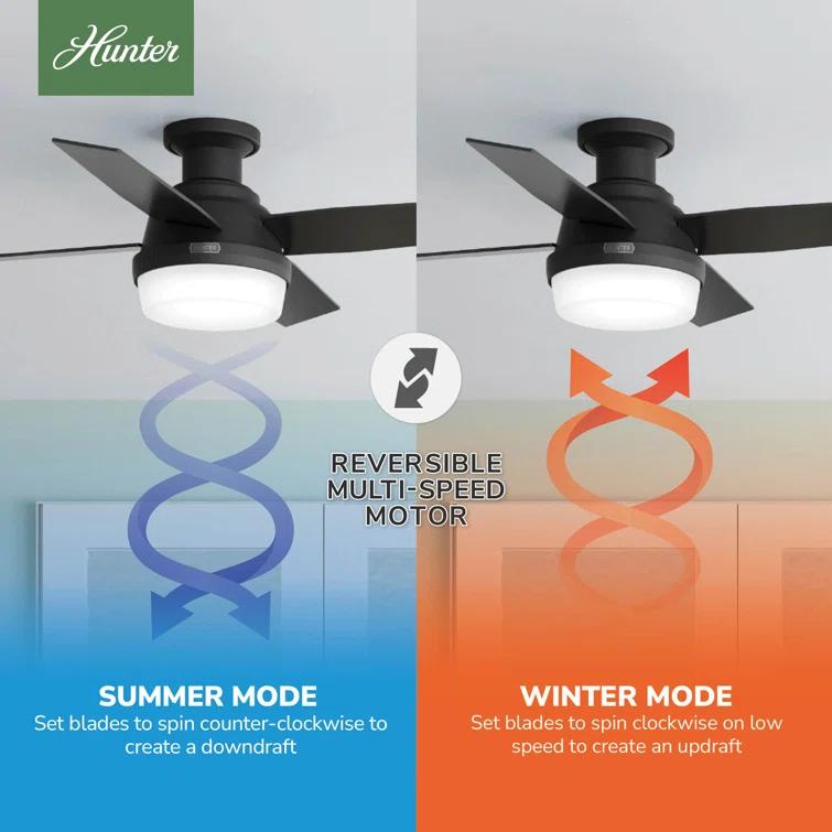 Dempsey Low Profile 44" 4 - Blade Indoor Flush Mount Small Room Ceiling Fan with Lights and Remote
