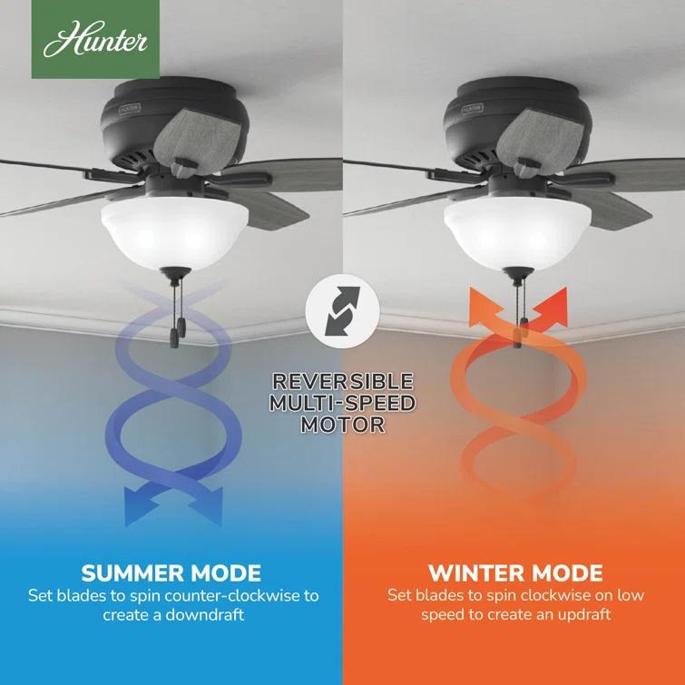 Newsome 42" 5 - Blade Traditional Flush Mount Indoor Ceiling Fan with Lights and Pull Chains