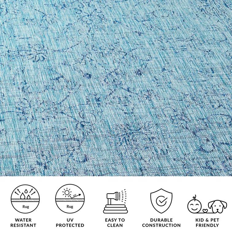 Courtyard Performance Oriental Rug