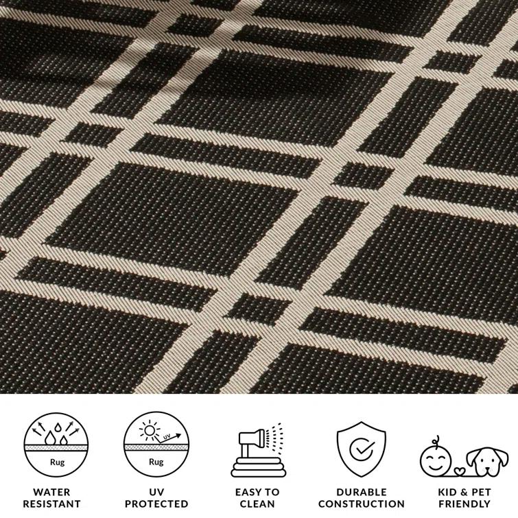 Sanzone Performance Geometric Rug