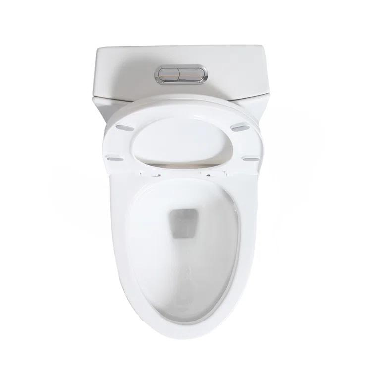 Small Compact One Piece Toilet Dual Flush