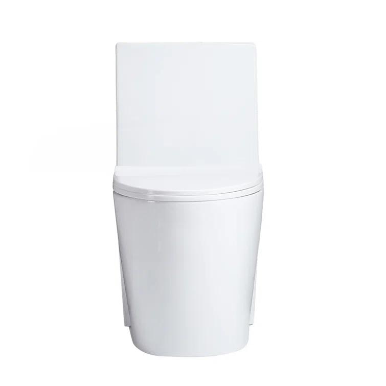 Small Compact One Piece Toilet Dual Flush