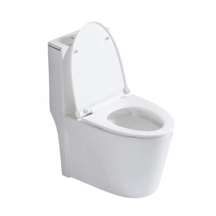 Small Compact One Piece Toilet Dual Flush