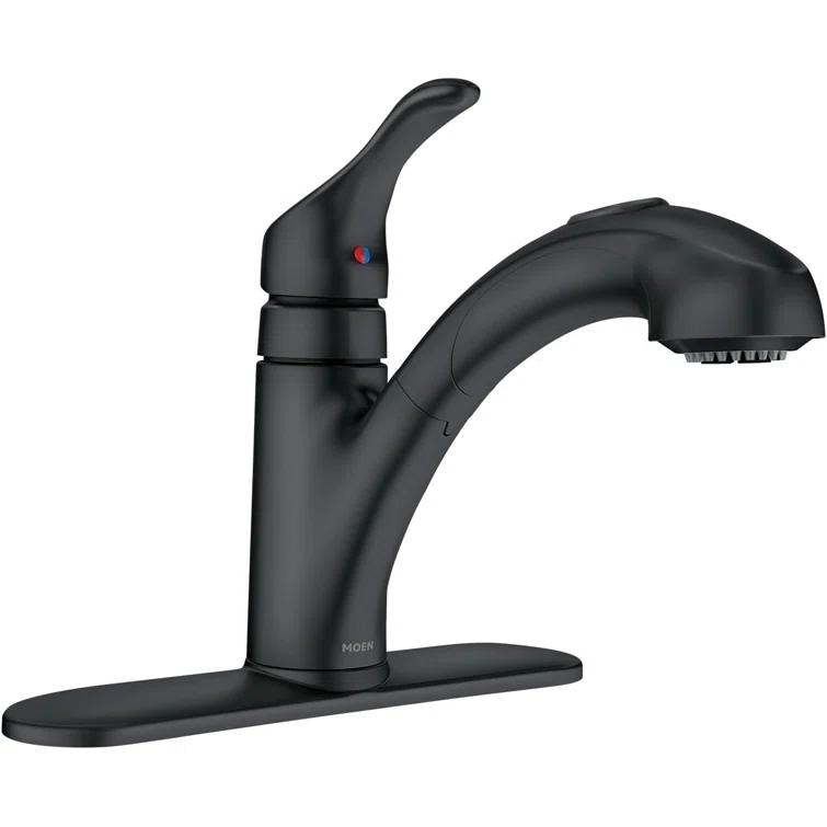 Renzo Single Handle Kitchen Faucet with Duralock