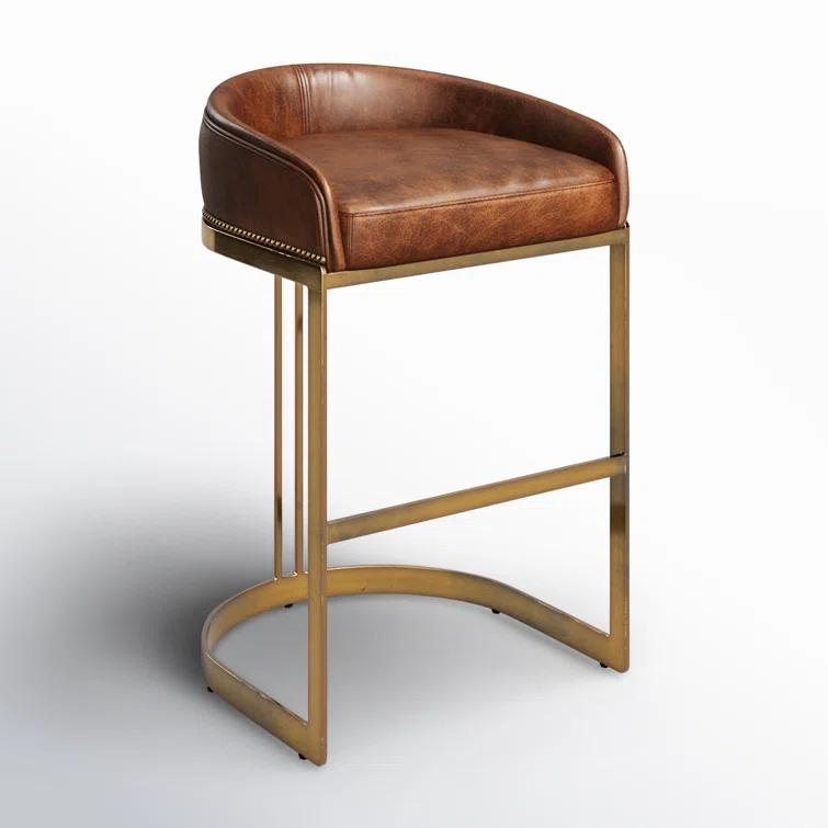 Bradley Genuine Leather Bar & Counter Stool