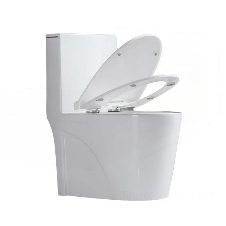 Small Compact One Piece Toilet Dual Flush