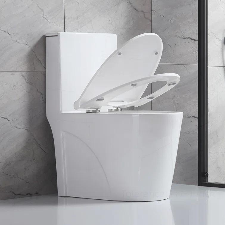 Small Compact One Piece Toilet Dual Flush